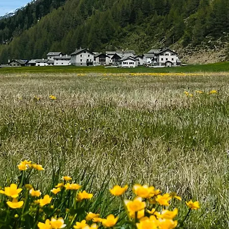 Casa Bellavista *